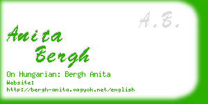 anita bergh business card